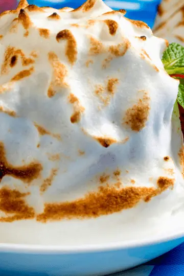 Baked Alaska