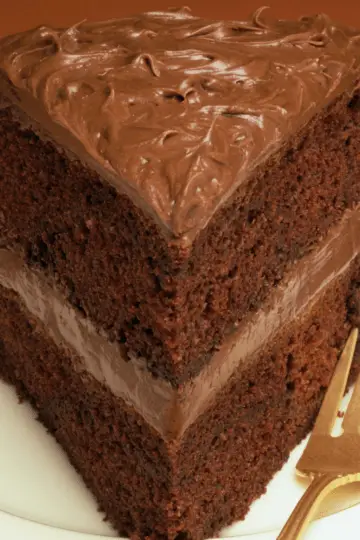 Chocolate Fudge Cake