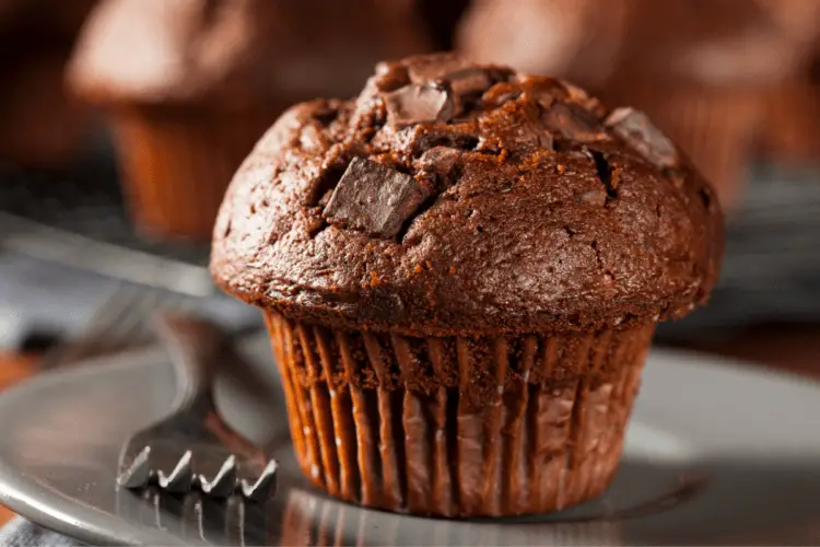 Double Chocolate Chip Muffins