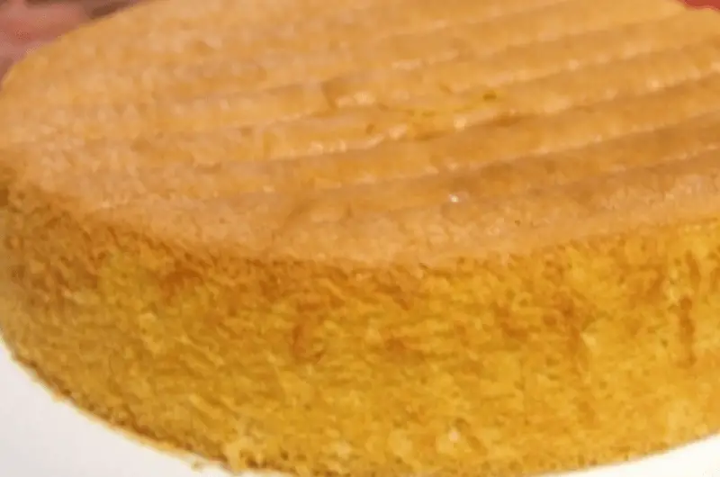 Genoise Sponge