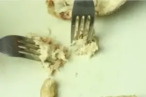 Shredding Chicken