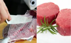 To Filet_ Fillet