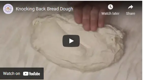 Knocking back dough video