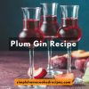 plum gin recipe
